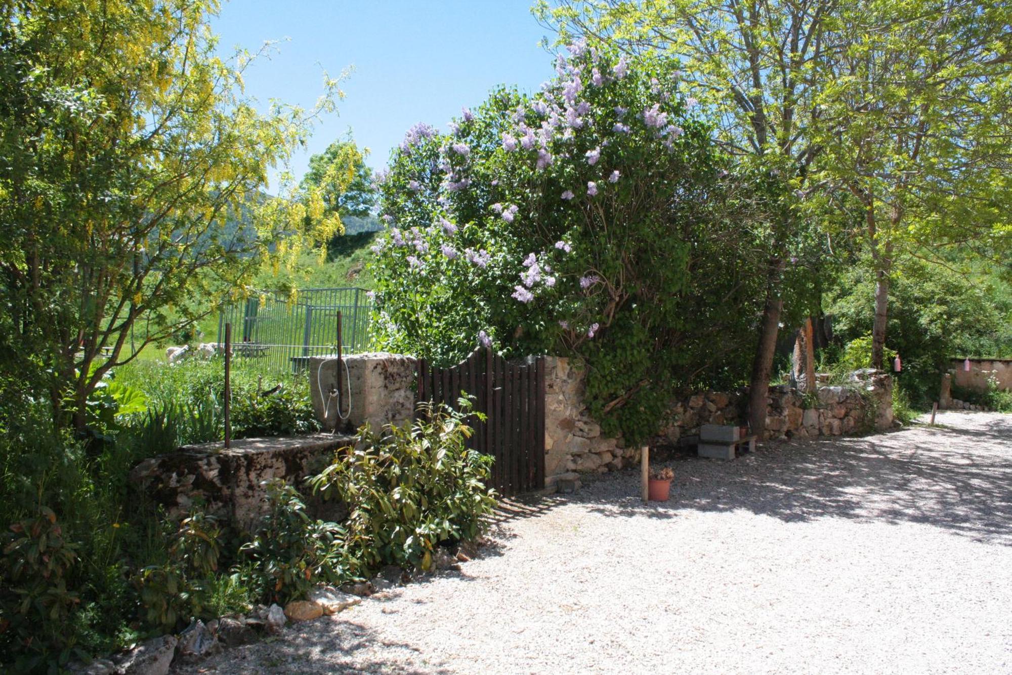 Chateau De Camurac Bed & Breakfast Dış mekan fotoğraf